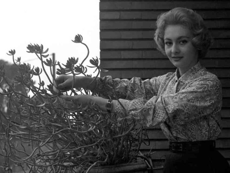 Addio ad Anna Maria Gambineri, storica «signorina buonasera»