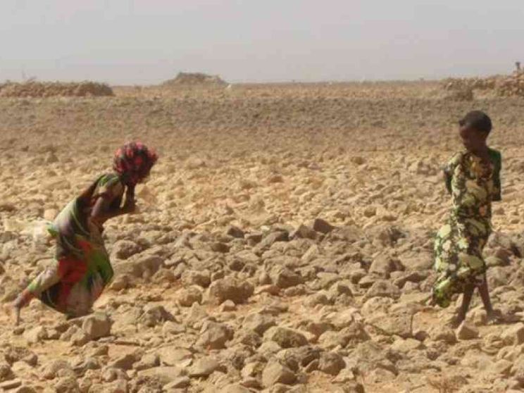 La grande fame in Africa: il Sahel muore e il mondo non si muove