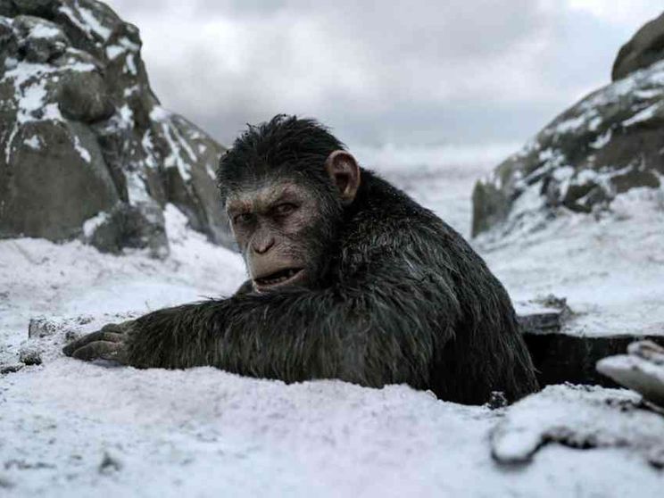 Il gran finale del «Pianeta delle scimmie» è un western tragico