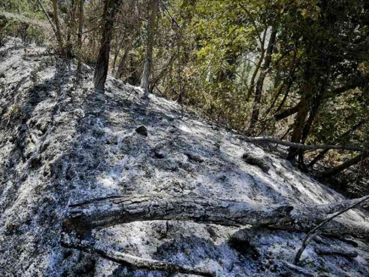 Un Comune su 5 senza il «catasto»