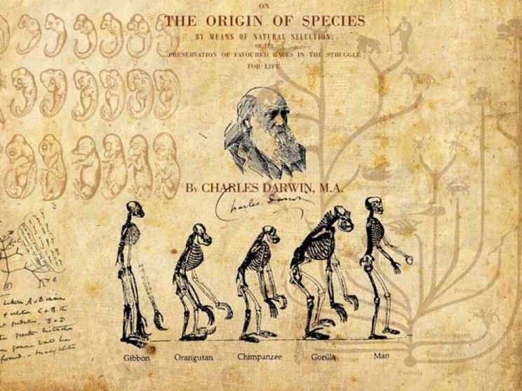 Erdogan «purga» anche l'evoluzionismo di Darwin