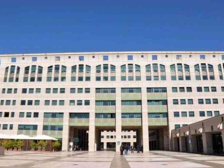 Anziché insegnare faceva l'avvocato