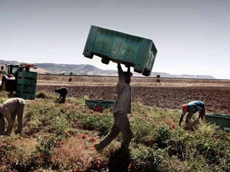 Chiesa in prima fila per i lavoratori sfruttati e contro i caporali