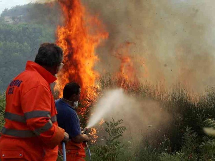 La Sila brucia, ipotesi roghi dolosi: sospetti su aziende forestali