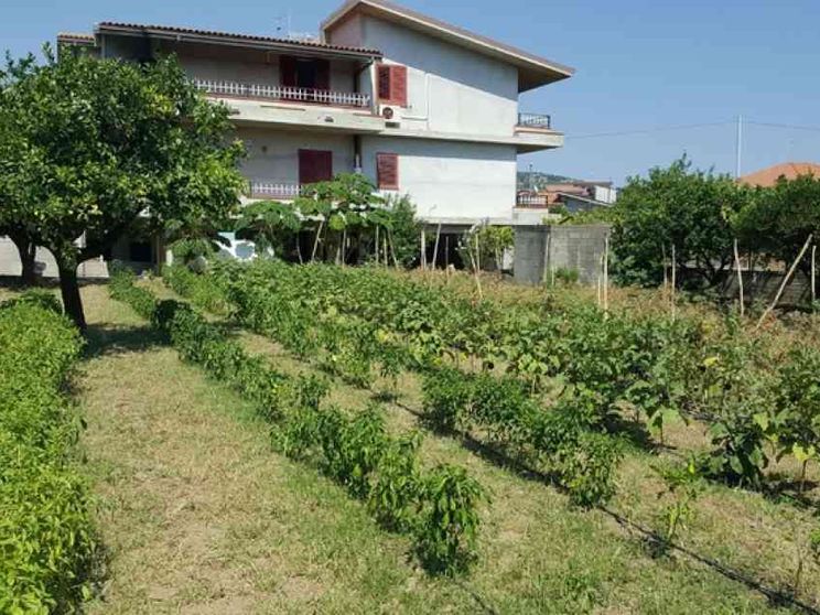 Nella casa del killer i giovani fanno tornare la vita