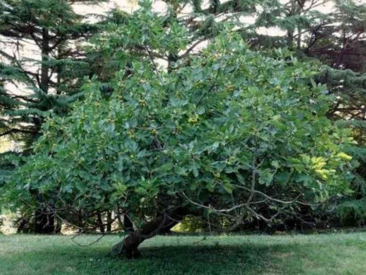 Marsiglia: sponde che si incrociano e preghiere che risuonano in pace