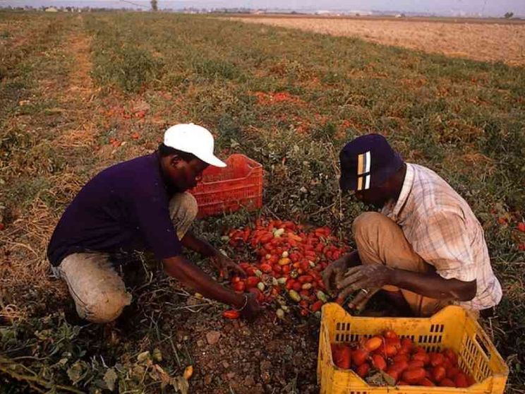 Paga in base al colore della pelle: arrestati due caporali