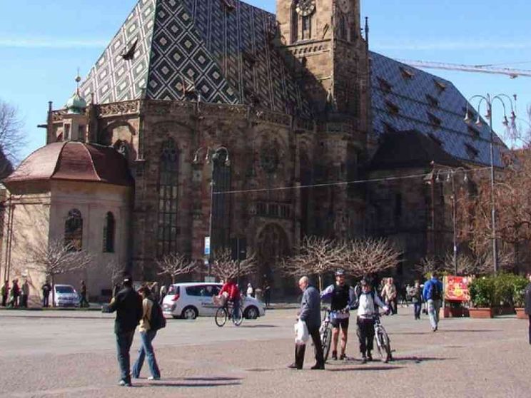 Muser: abusi sui minori, è tempo di trasparenza