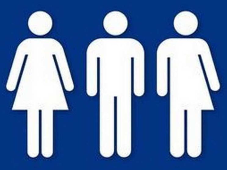 La Corte costituzionale tedesca chiede di riconoscere il «terzo sesso»