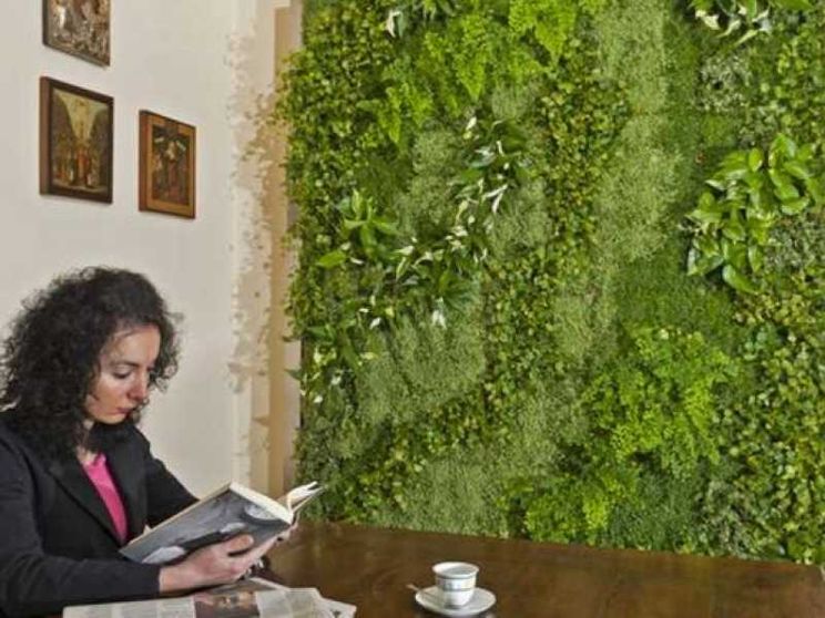 Arredi vegetali tra moda e salute