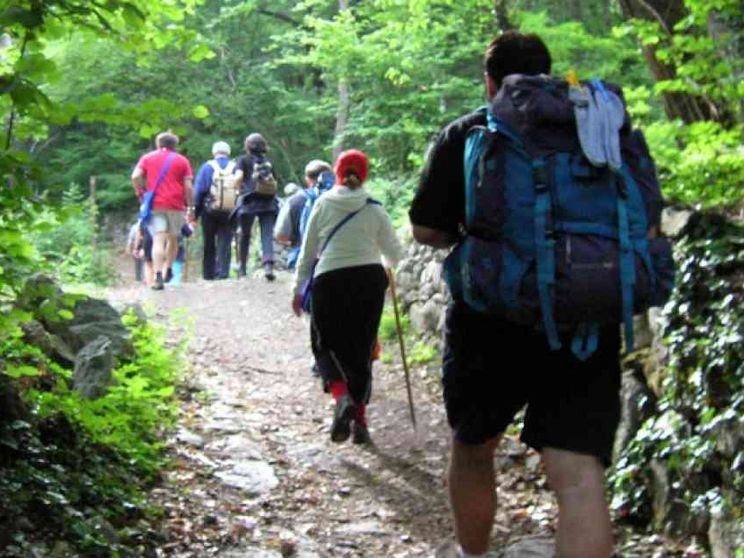 Falabretti: cammino e ascolto: giovani verso il Sinodo