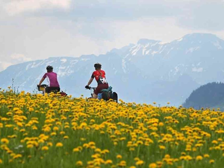 Tutti in bici e... pedalare fa bene anche all'economia