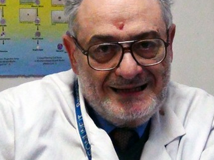 Vita da macachi (l’uomo resti uomo)