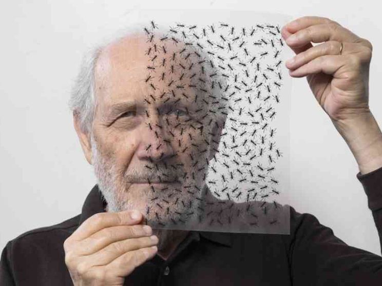 Emilio Isgrò e l'arte di cancellare: «Ma non cancello Dio»