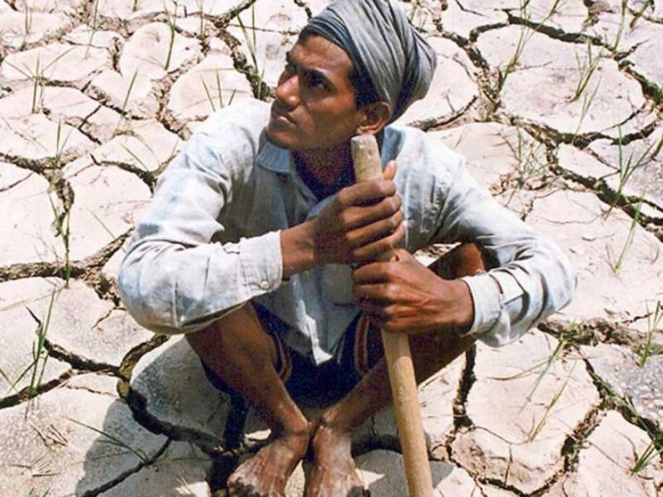 India, la trappola del clima: cresce il caldo, più suicidi