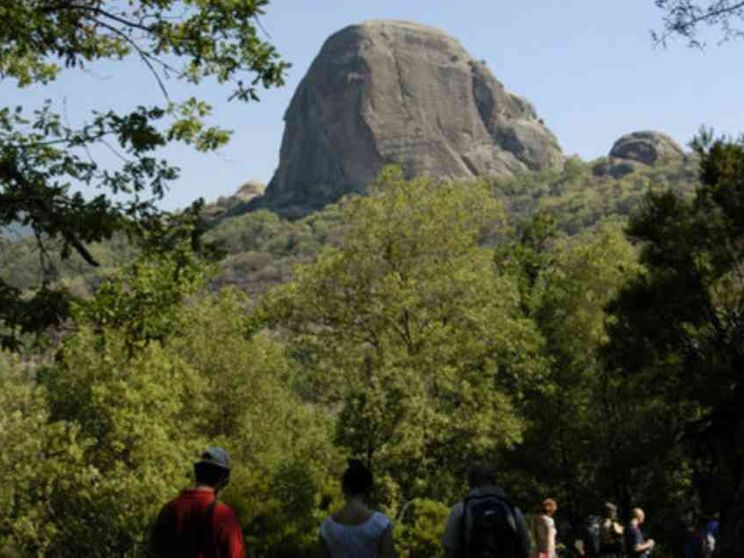 I bambini ai boss: restituite il corpo di Vincenzo Medici