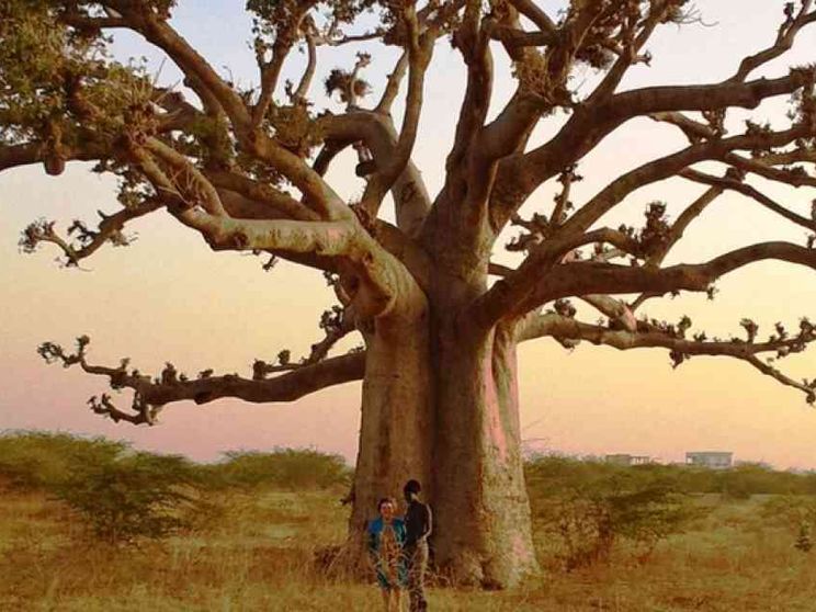 Senegal, viaggio nel paese africano dove dialogano islam e cristianesimo