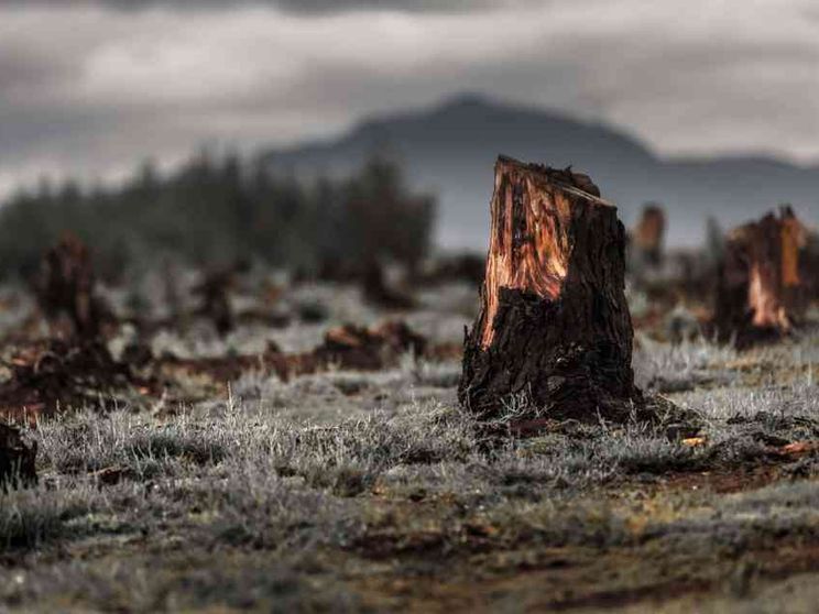 Nel 2050 in 4 miliardi vivranno in terre aride, allarme per il degrado del suolo