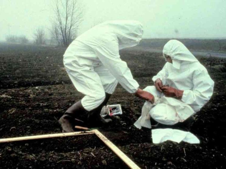 1976 - Diossina a Seveso, pressing per abortire