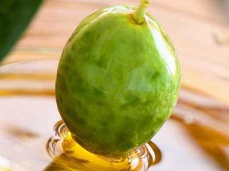 L'olio guarda alla Russia con l'Ercole Olivario