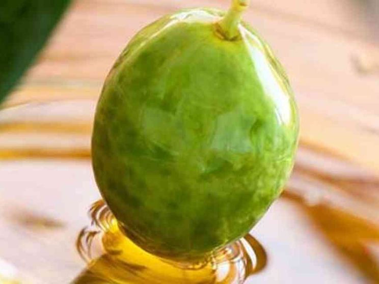 L'olio guarda alla Russia con l'Ercole Olivario