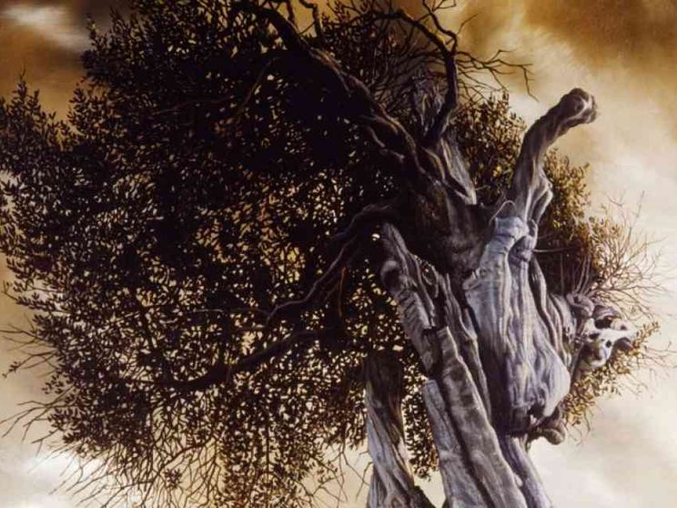 L'elogio degli alberi