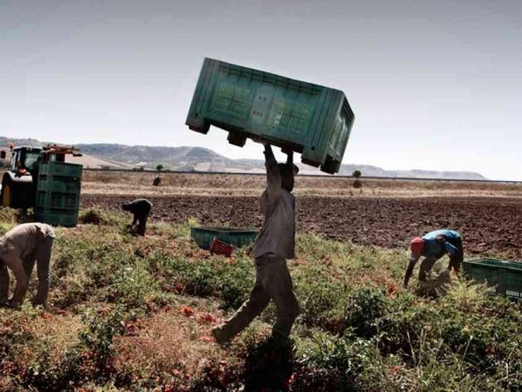 Nel mercato degli schiavi un migrante costa la metà