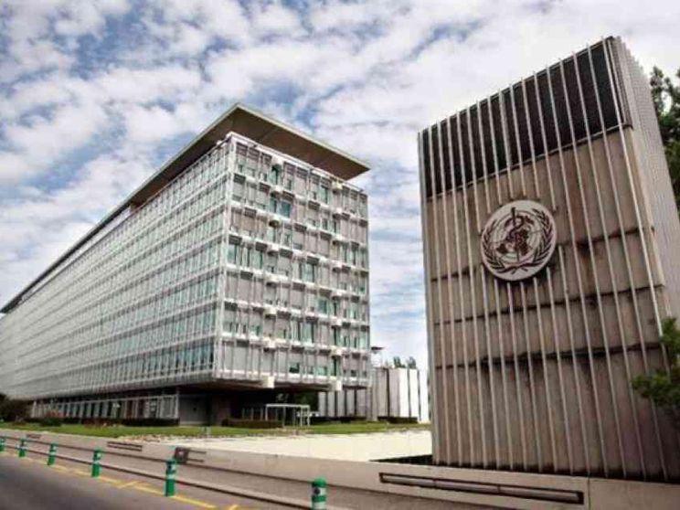 L'Oms: «I transessuali non sono malati»