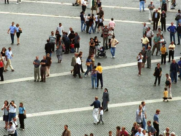 Danni e rimedi dal taglio delle radici