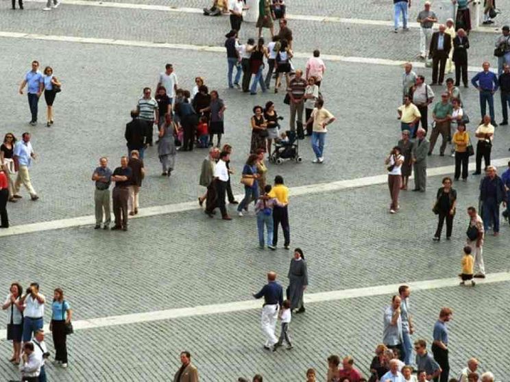 Danni e rimedi dal taglio delle radici