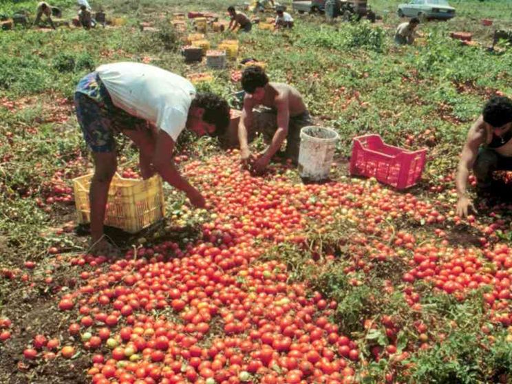 Caporali d'Italia, dramma da Nord a Sud