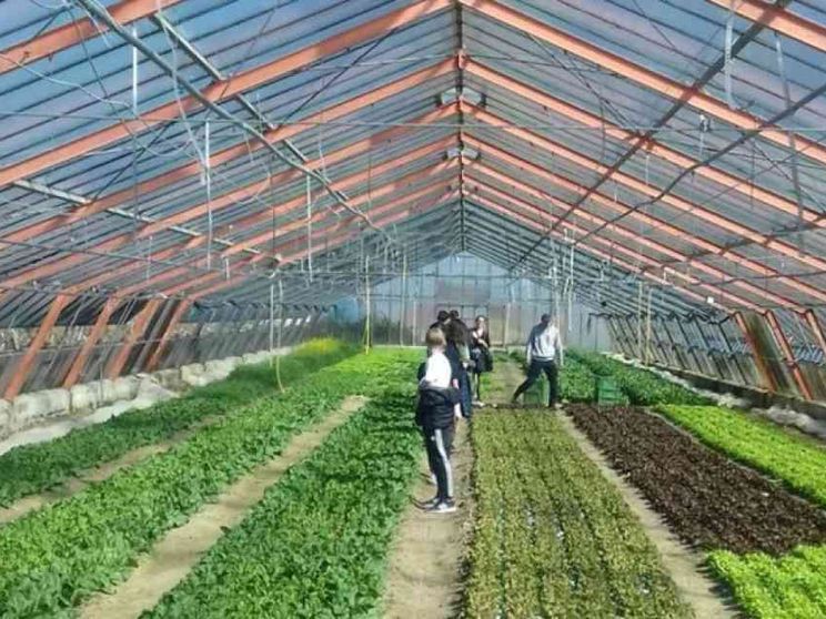 Alternanza scuola-lavoro personalizzata