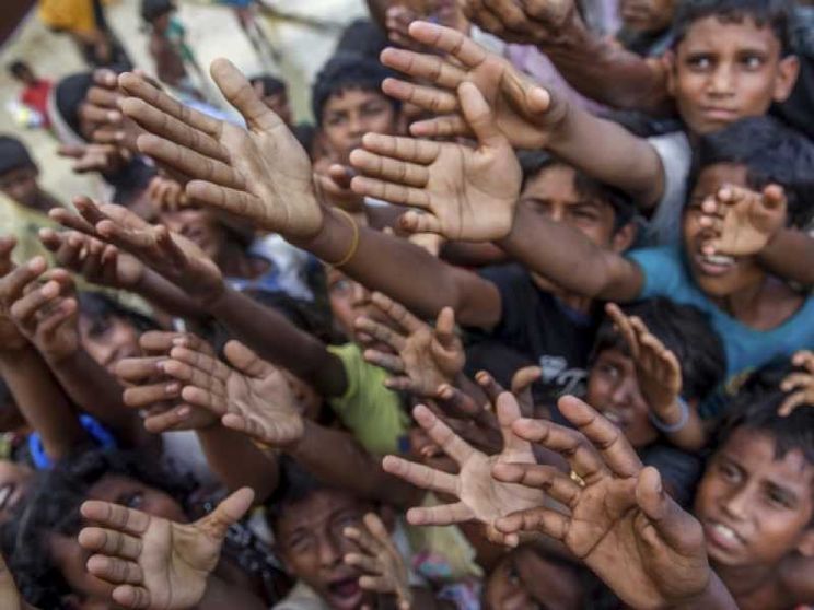 Fao: «Troppe ancora le crisi per fame sottovalutate»