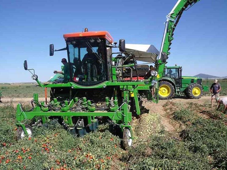 Macchine e intese di filiera sradicano lo sfruttamento