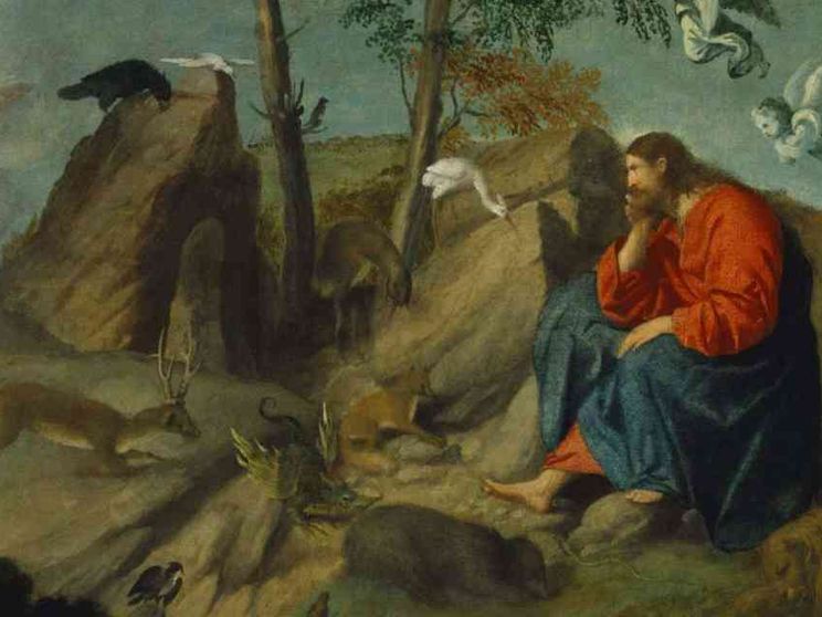 Pecore, uccelli e asini: che zoo la Bibbia