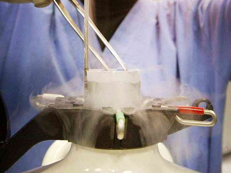 Embrioni congelati, la città dimenticata