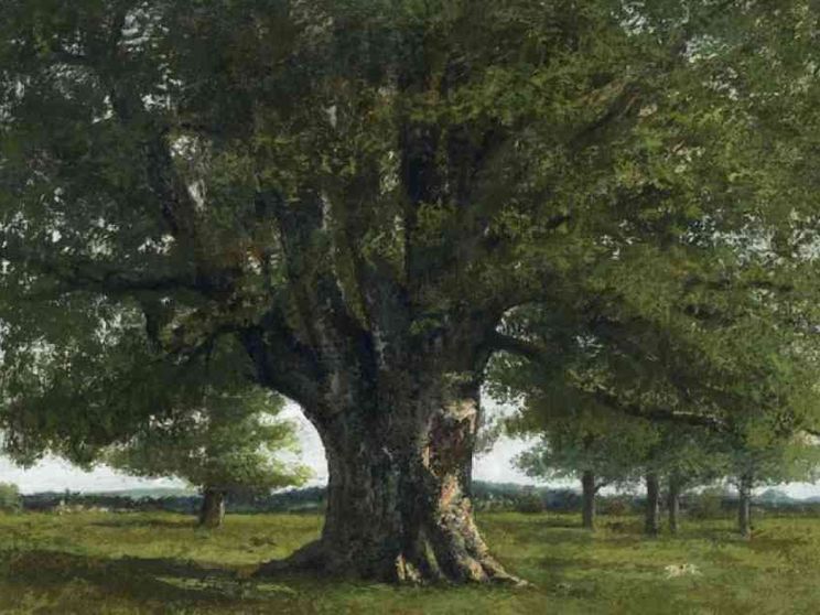 Courbet e le seduzioni di Madre-Materia