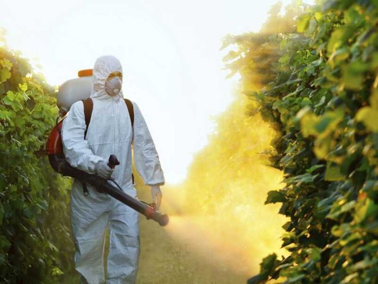 La Naspi si può cumulare con il lavoro agricolo autonomo