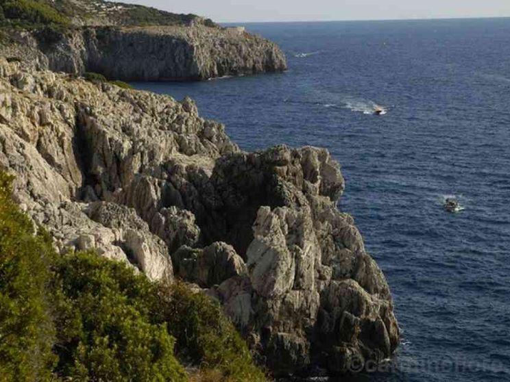 Il mistero caprese di Pamela Reynolds