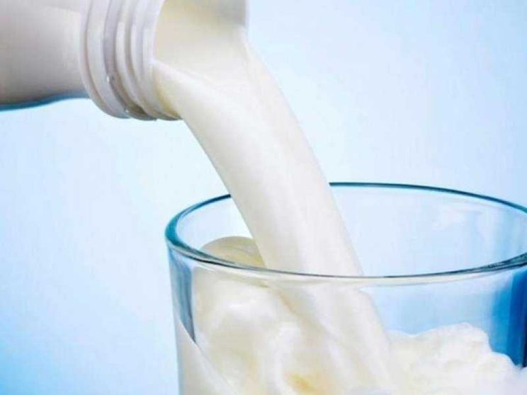 Latte e latticini fanno male? La scienza dice il contrario