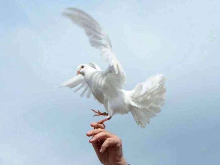 Papa: basta accusare i migranti e privare i poveri di speranza