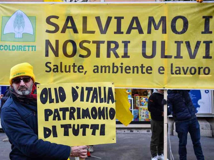Agricoltori in piazza per difendere l'olio italiano
