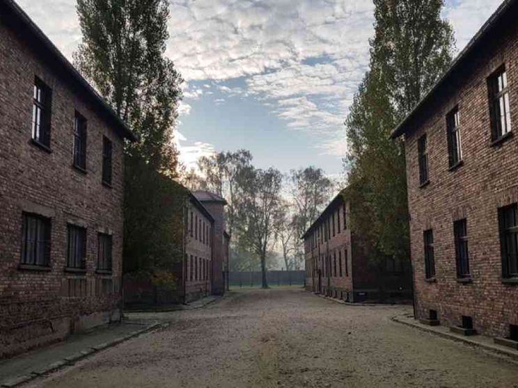 Quello che raccontano gli alberi di Auschwitz