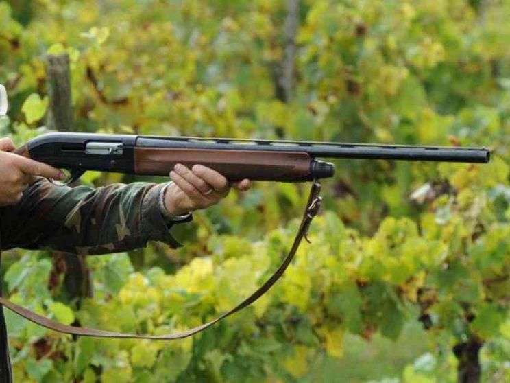 Non la caccia, ma l'idea spara-facile