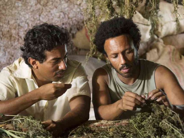 «Oro verde»: quando la Colombia scoprì la droga e perse l'innocenza