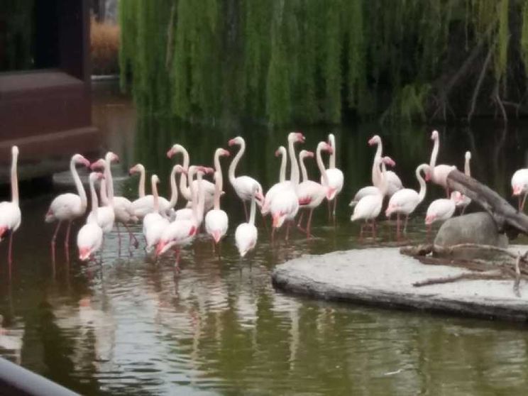 Posti di lavoro con il bioparco