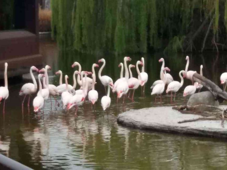 Posti di lavoro con il bioparco
