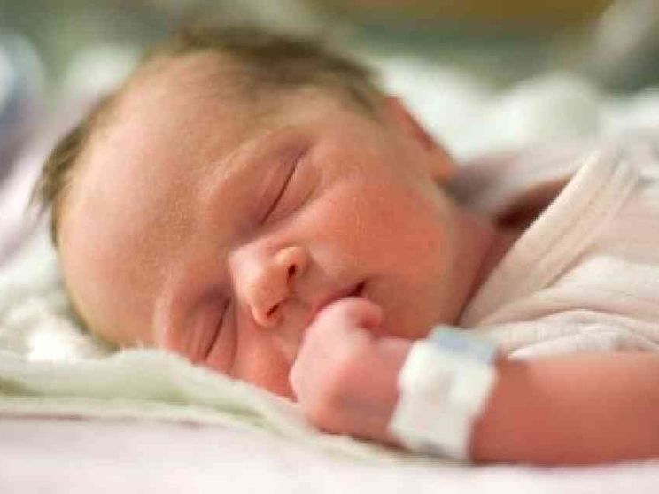 In arrivo dalla Russia altri "neonati ogm"