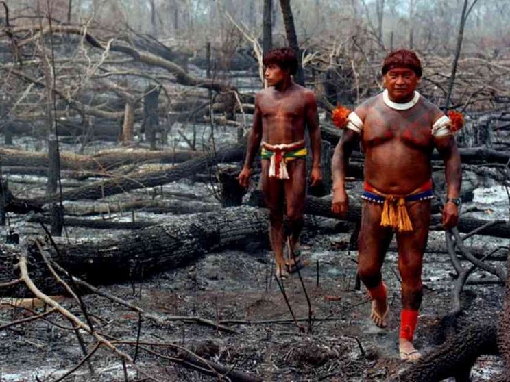 In Brasile la soia si sta mangiando l'Amazzonia