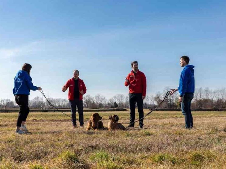 Da istruttore cinofilo a imprenditore